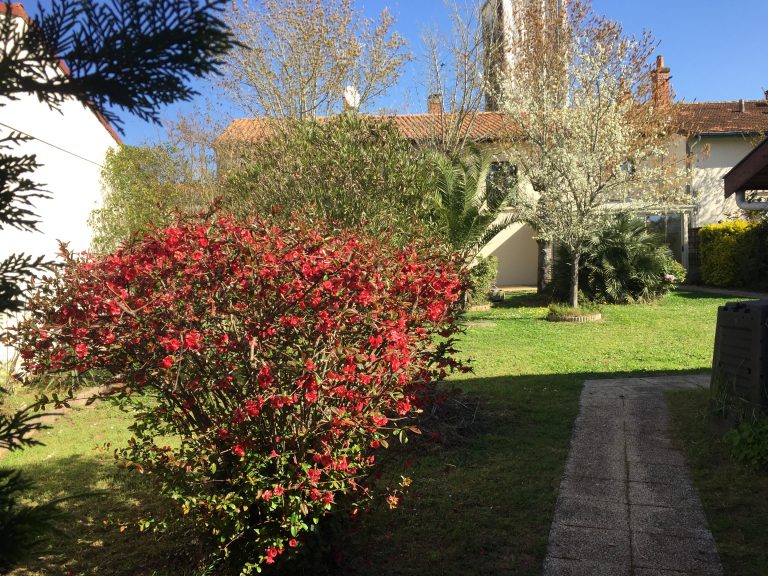 Jardin paisible de la Maison Edouard, maison partagée pour seniors en Nouvelle-Aquitaine.